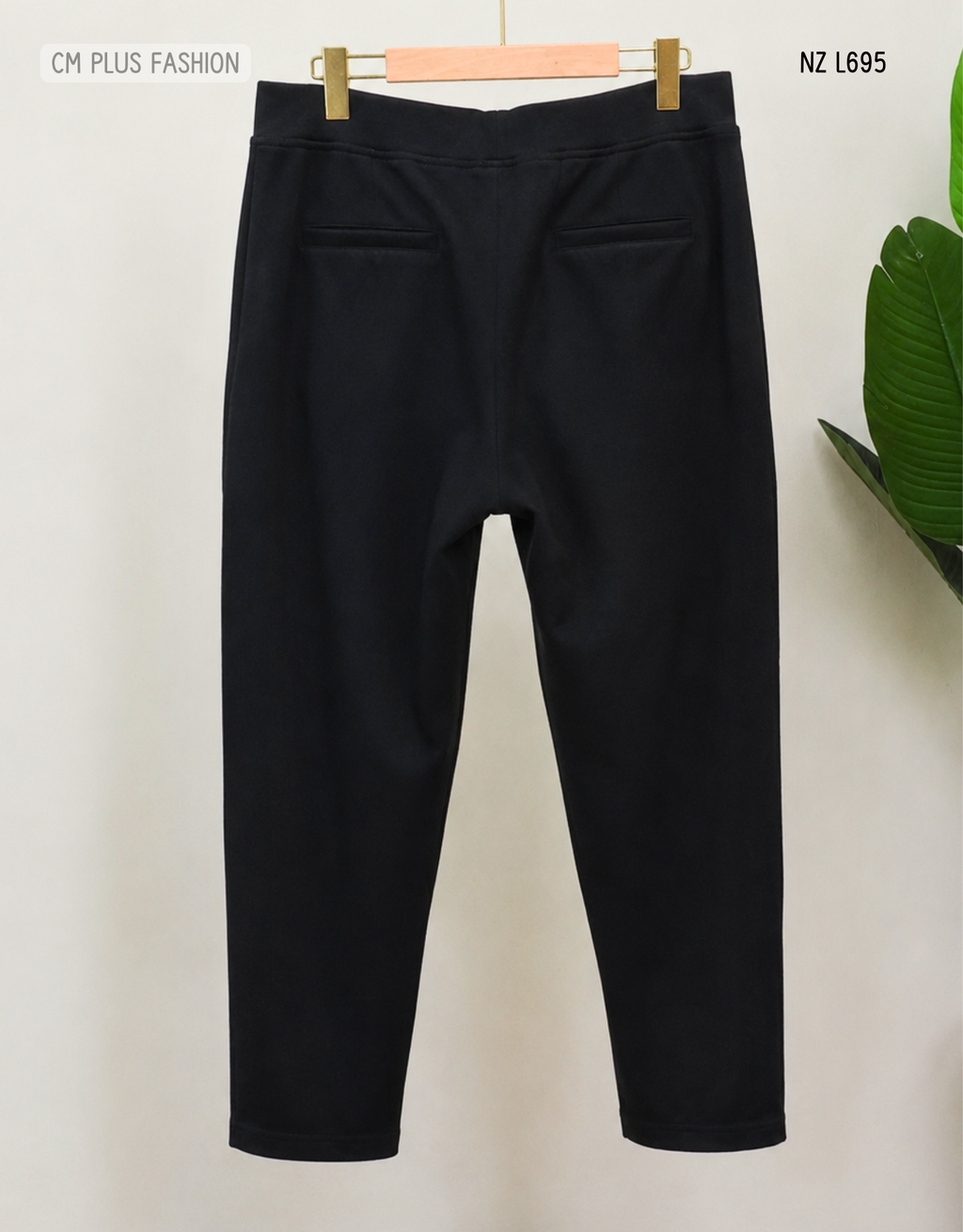 NZ L695 (2)