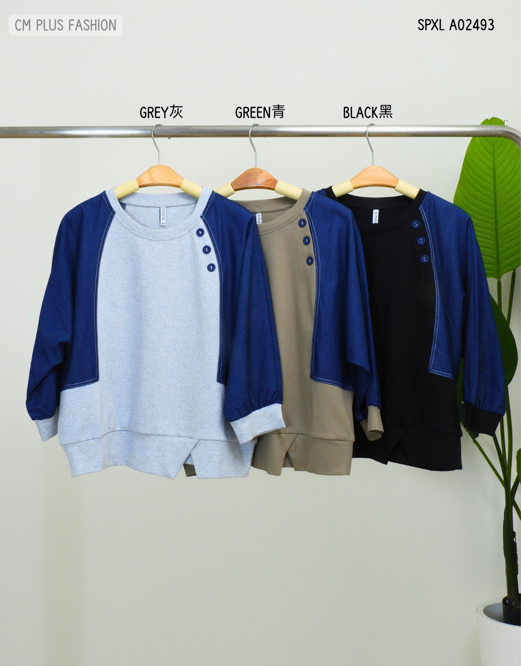 SPXL A02493