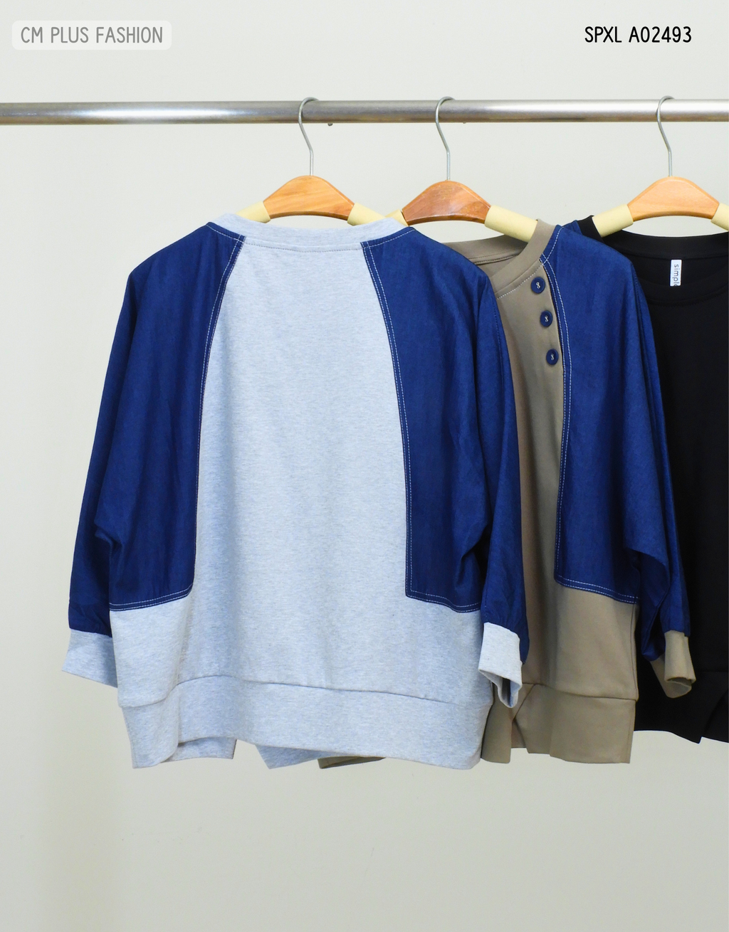 SPXL A02493 (2)