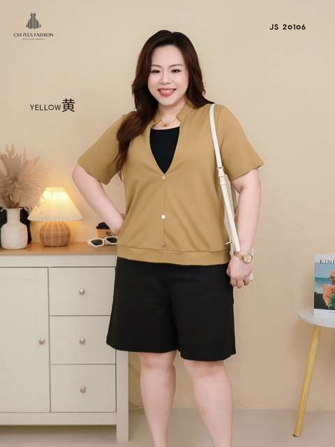 JS 20106e (2)