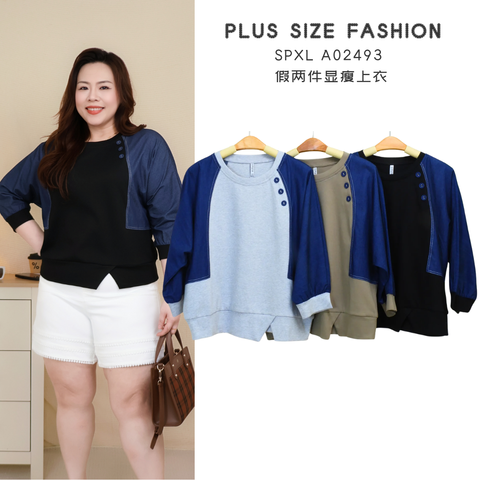 SPXL A02493