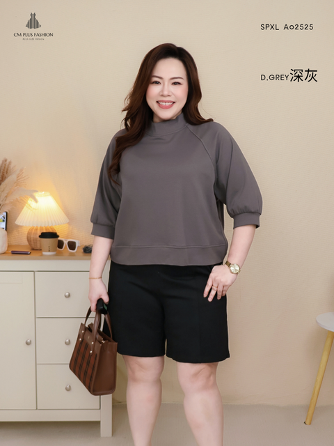 SPXL A02525 (3)