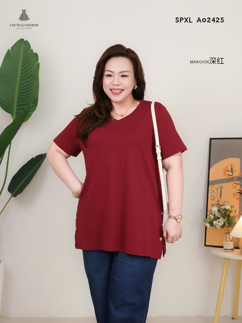 SPXL A02425 s (2)