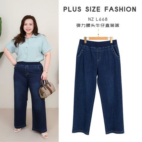 NZ L668-