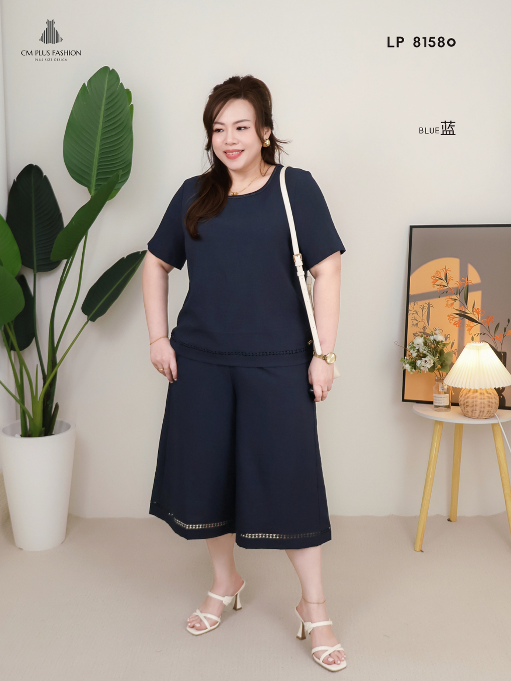 LP 81580s