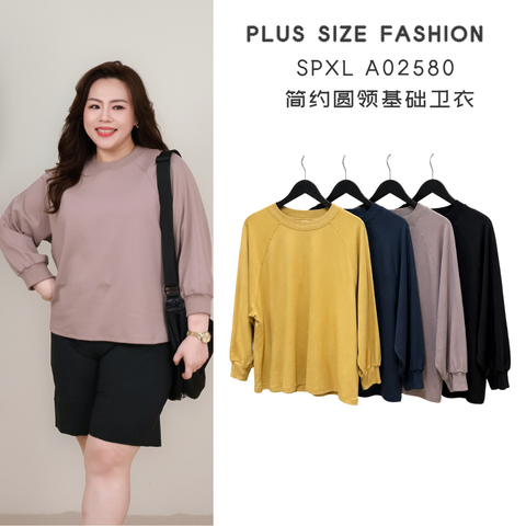 SPXL A02580