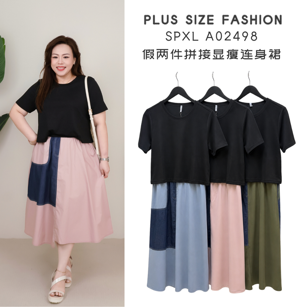 SPXL A02498