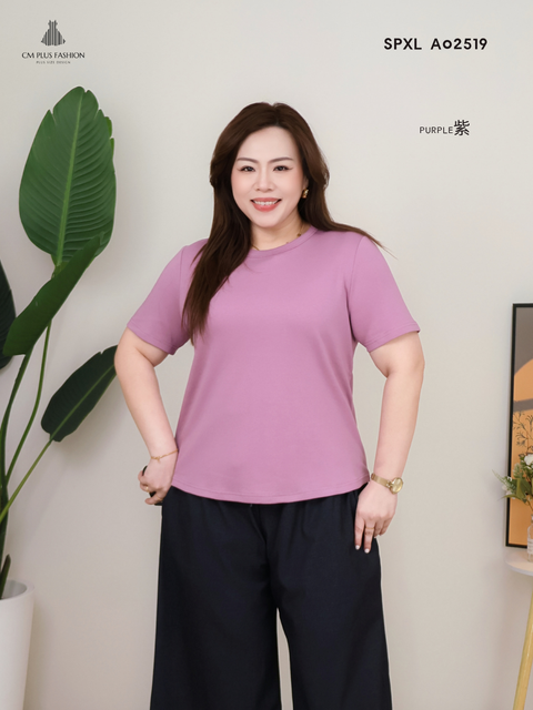 SPXL A02519E (2)