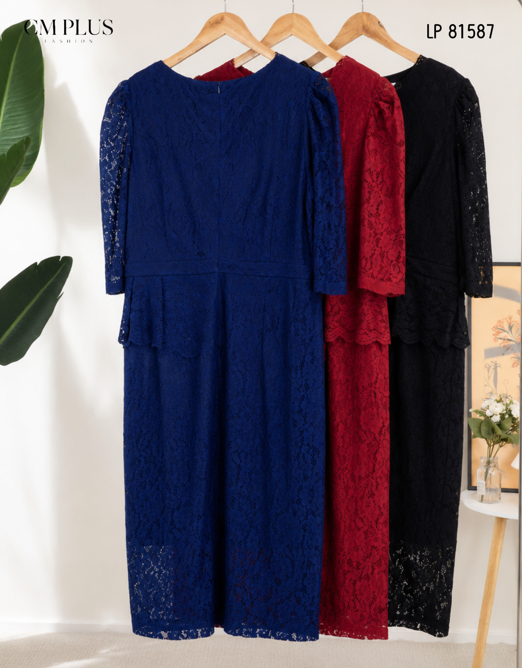 LP 81587 (2)