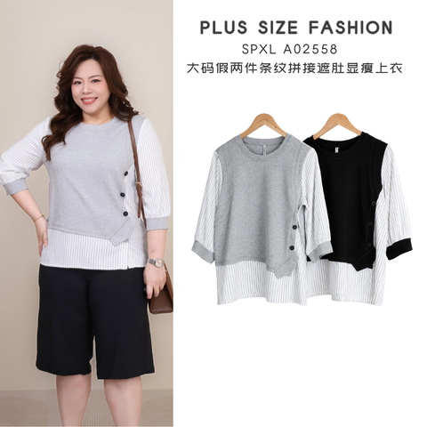 SPXL A02558  