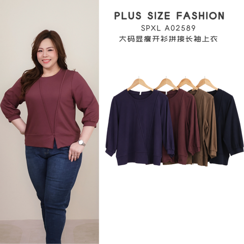 SPXL A02589