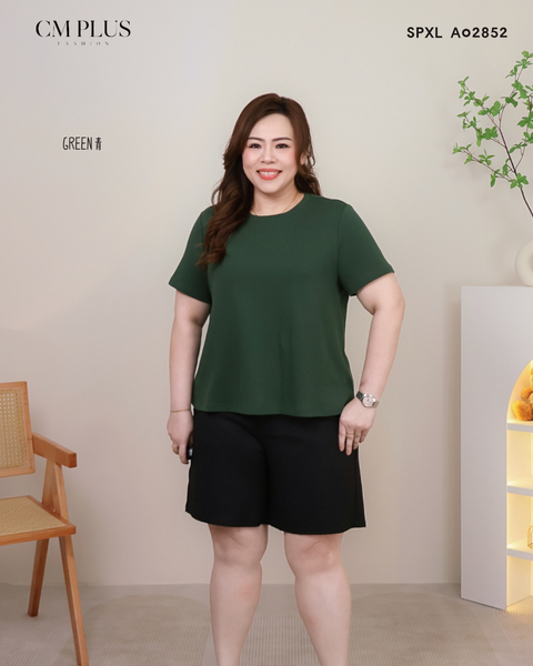 SPXL A02852 (4)