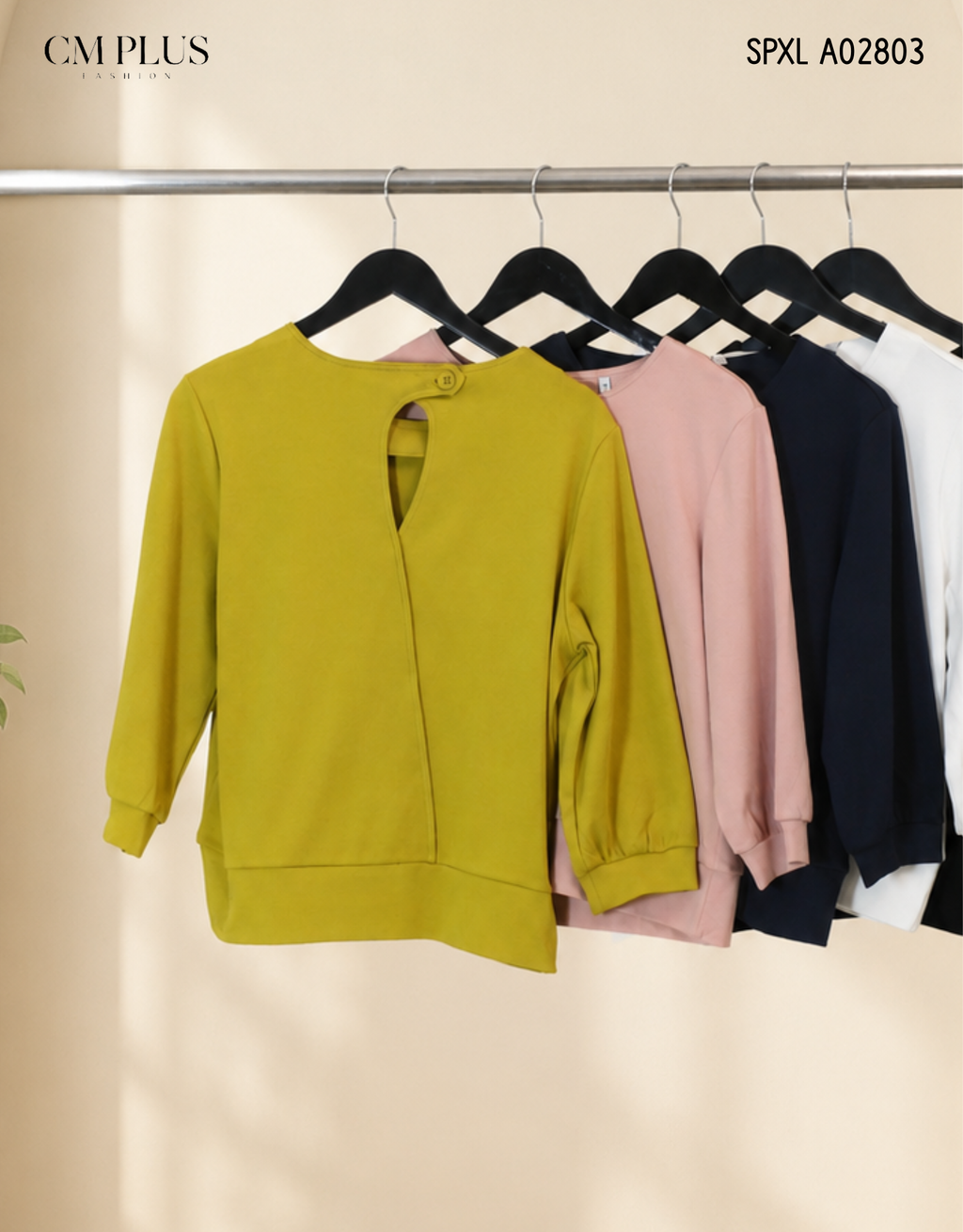 SPXL A02803 (2)