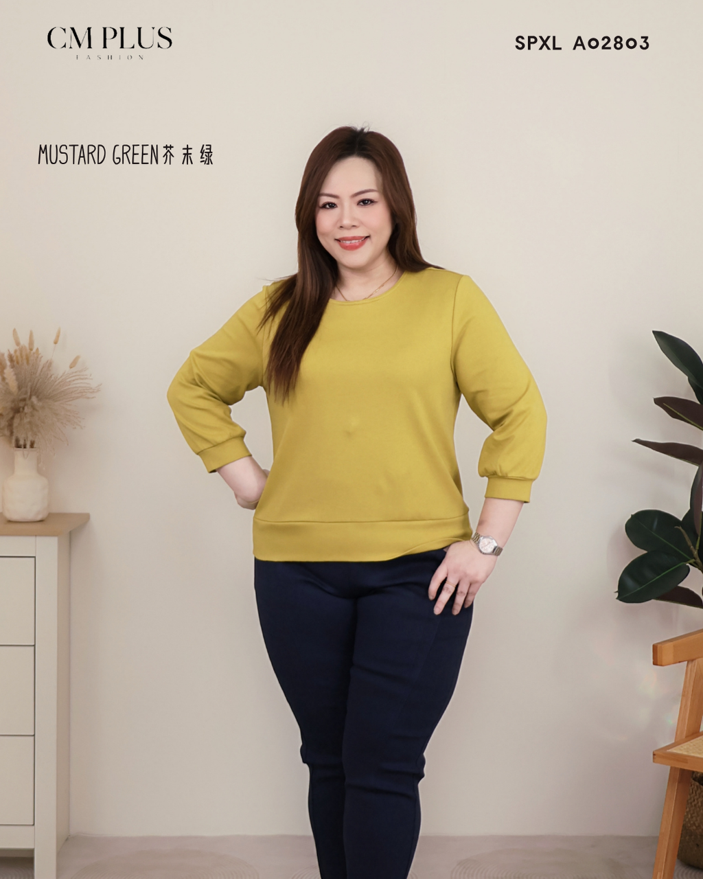 SPXL A02803 (2)