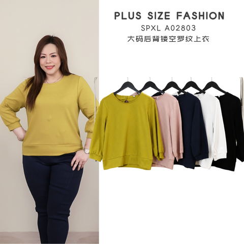 SPXL A02803
