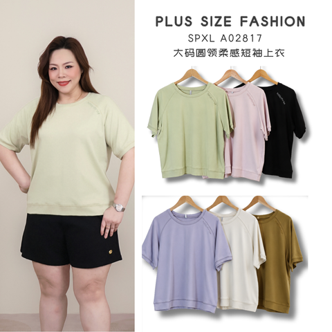 SPXL A02817