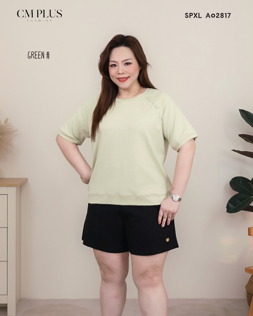 SPXL A02817 (4)