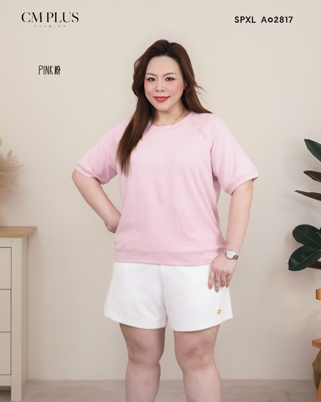 SPXL A02817 (7)