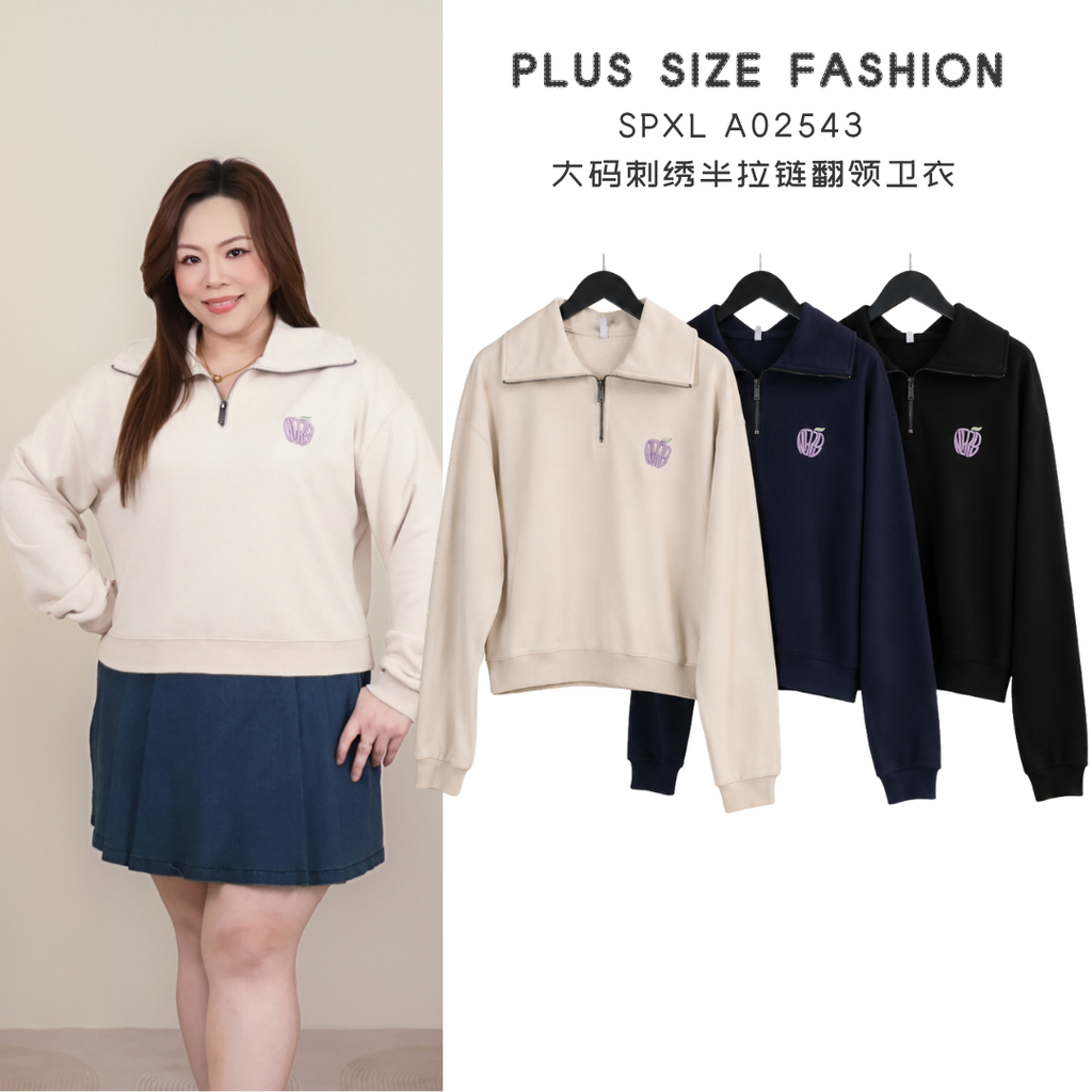 SPXL A02543