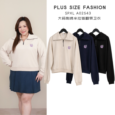 SPXL A02543