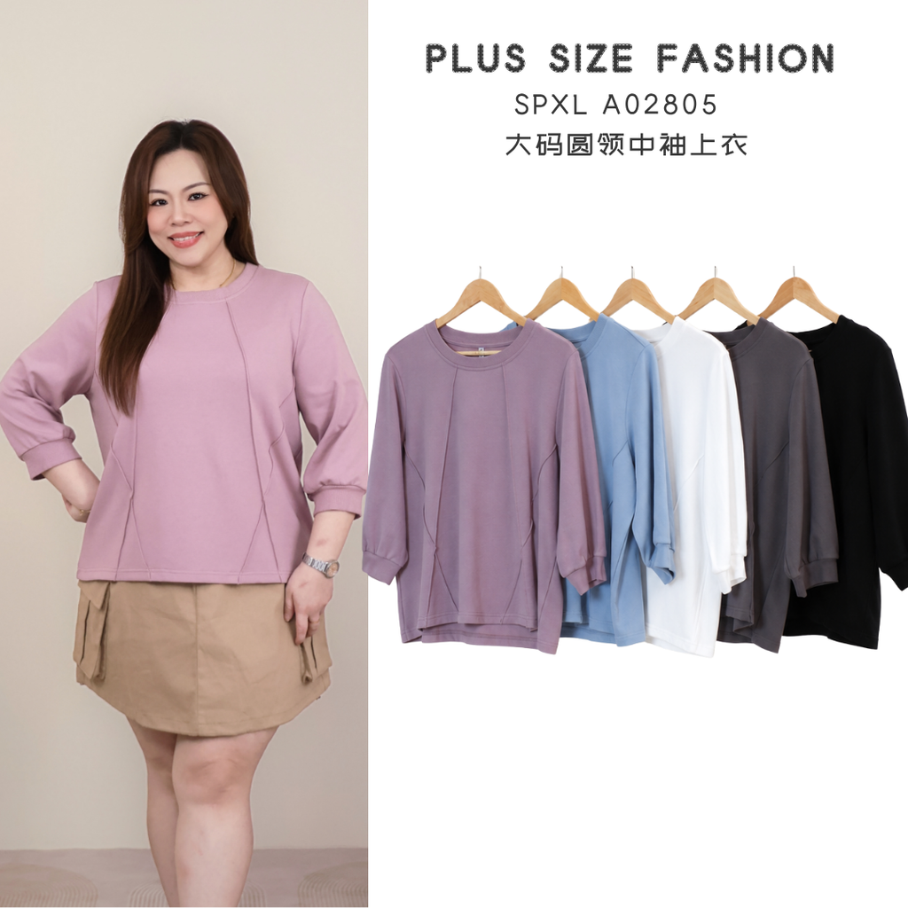 SPXL A02805