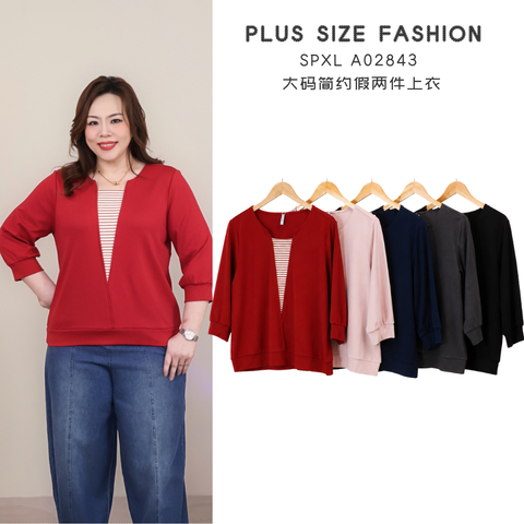 SPXL A02843