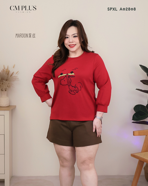 SPXL A02843 (2)