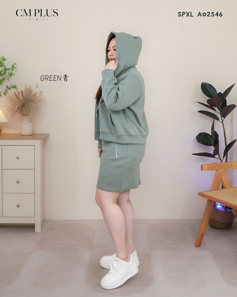 SPXL A02546 (2)
