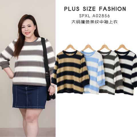 _SPXL A02856