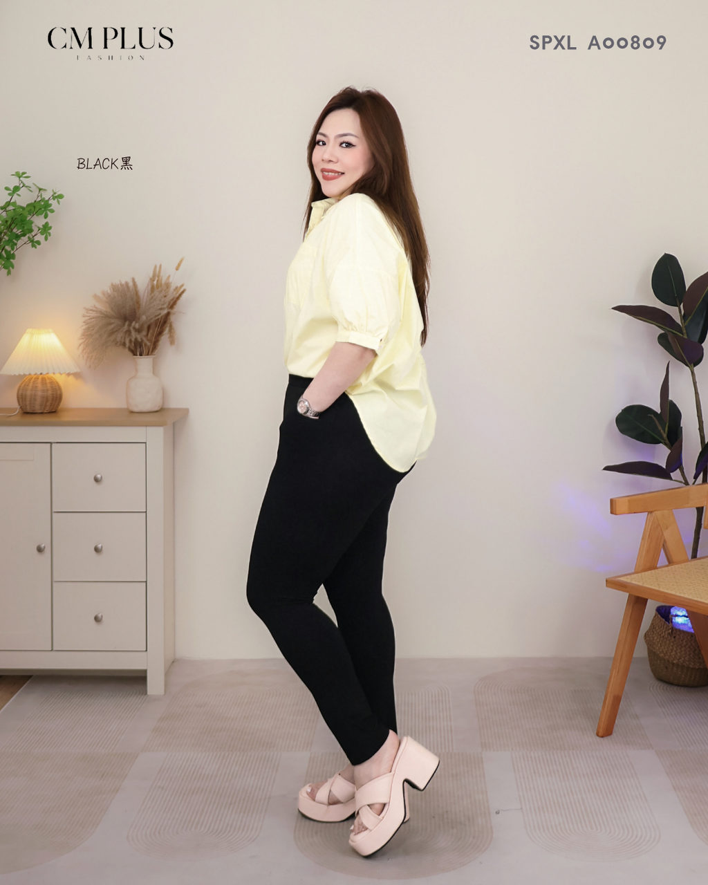 SPXL A00809 (2)