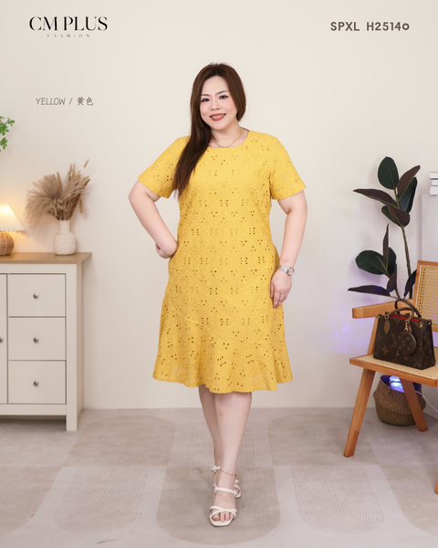SPXL H25140 (3)