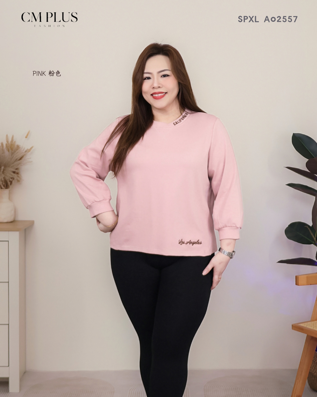 SPXL A02557 (2)