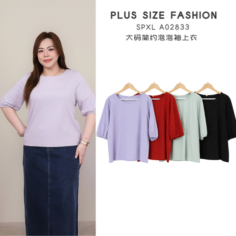 SPXL A02833