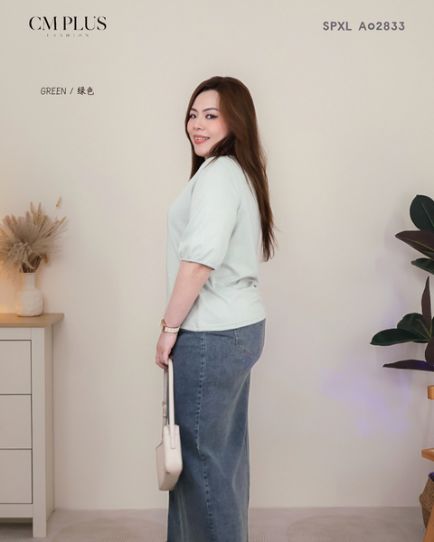 SPXL A02833 (3)
