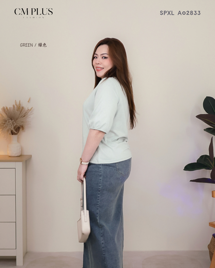 SPXL A02833 (3)