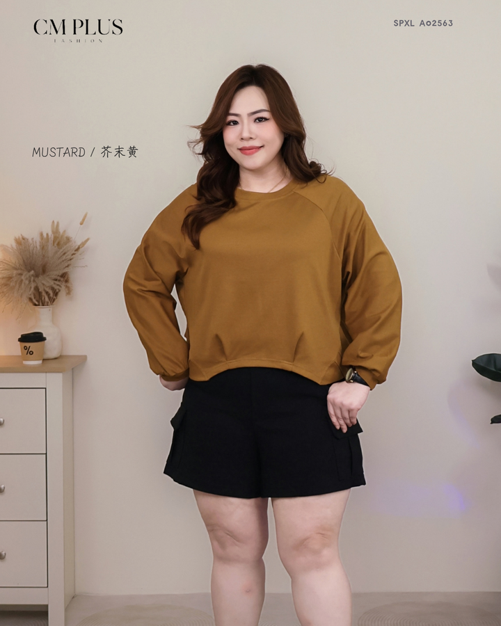 JS 66489 (20)
