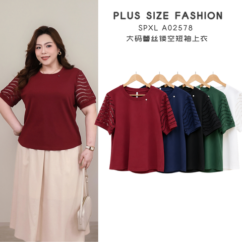 SPXL A02578