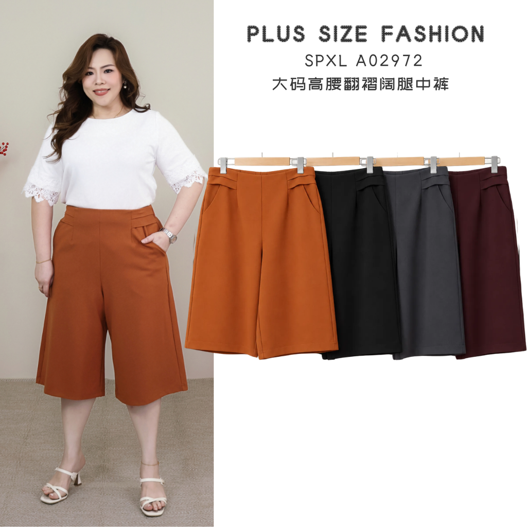 SPXL A02972