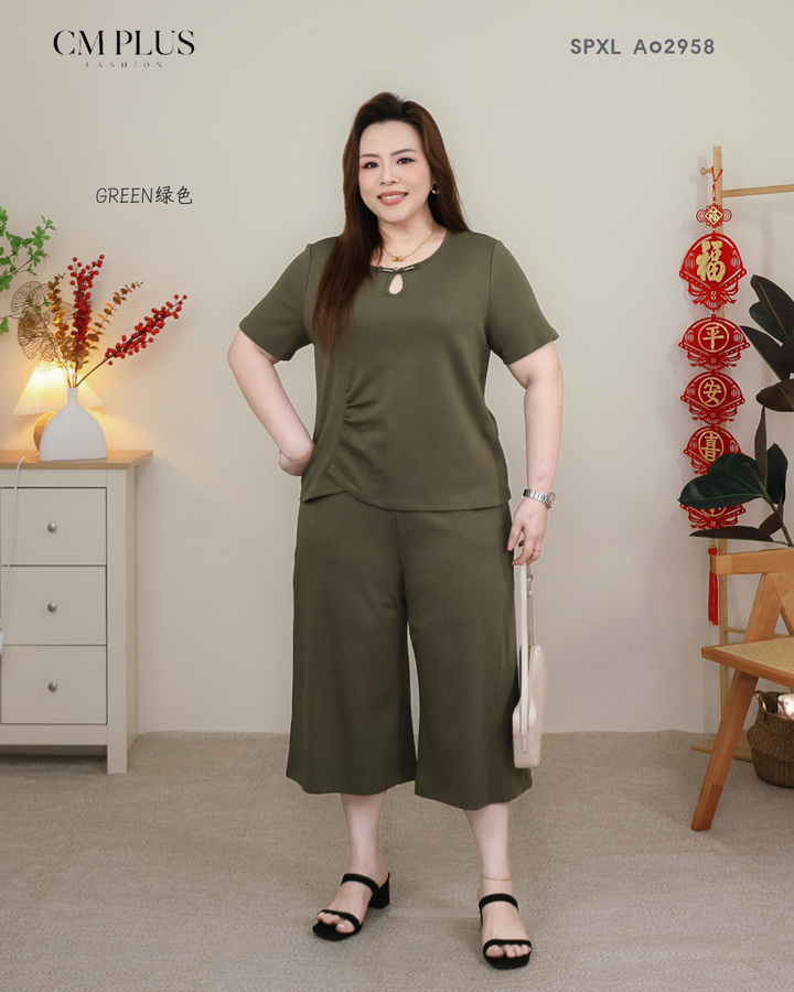 SPXL A02958