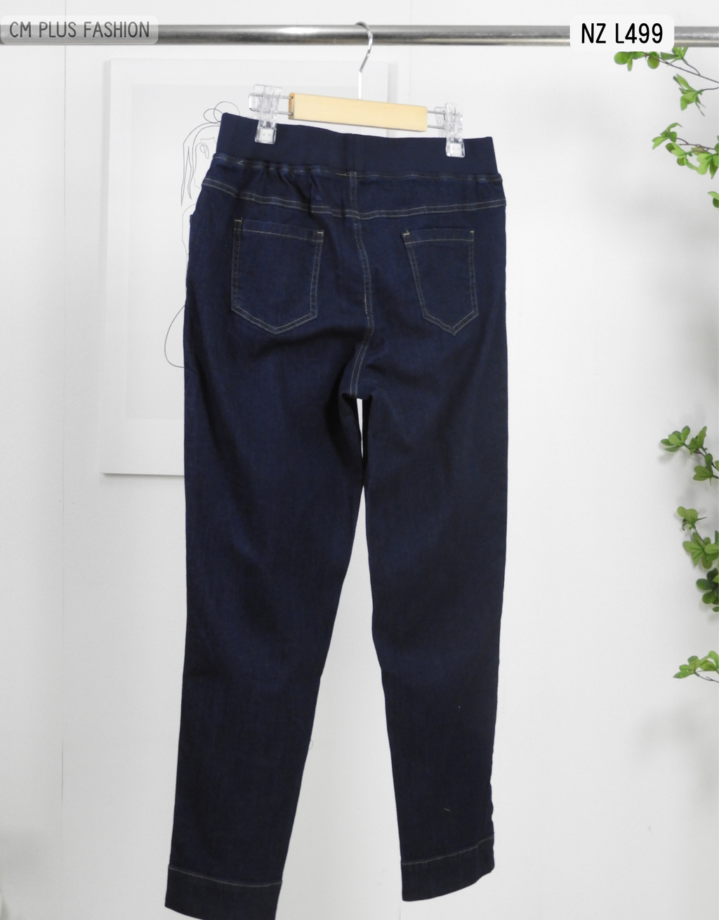 NZ L499 (2)