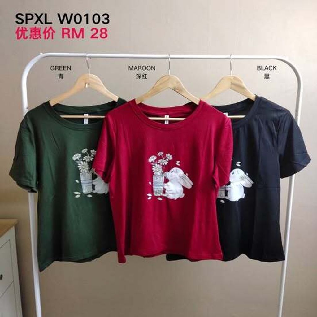 440875295_838663331634597_8778124910869925825_n