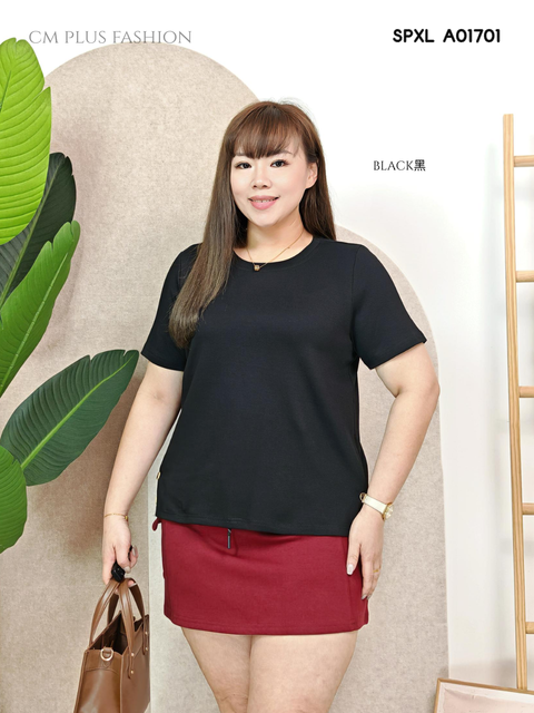 SPXL A01701 (2)