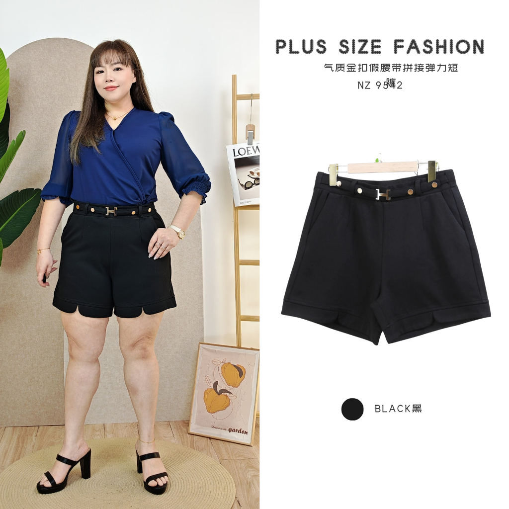 NZ 9542 -v