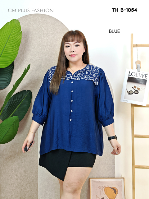 TH B-1054 (2)