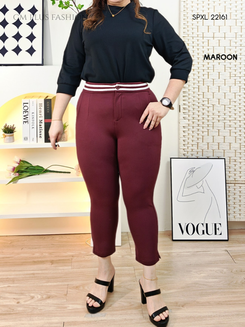 SPXL 22161-K (2)