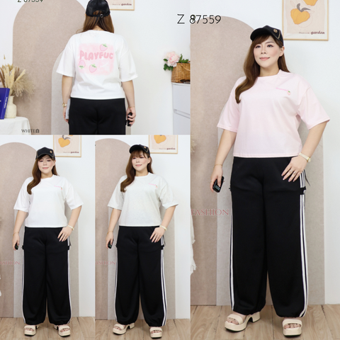 Z 87559p (2)_副本
