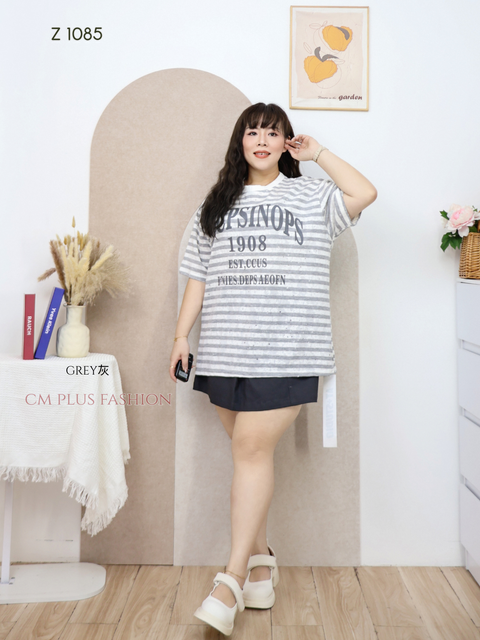 Z 1085p (2)
