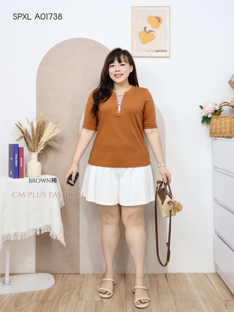 SPXL A01738-l (2)