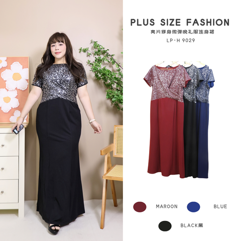 LP-H 9029-V