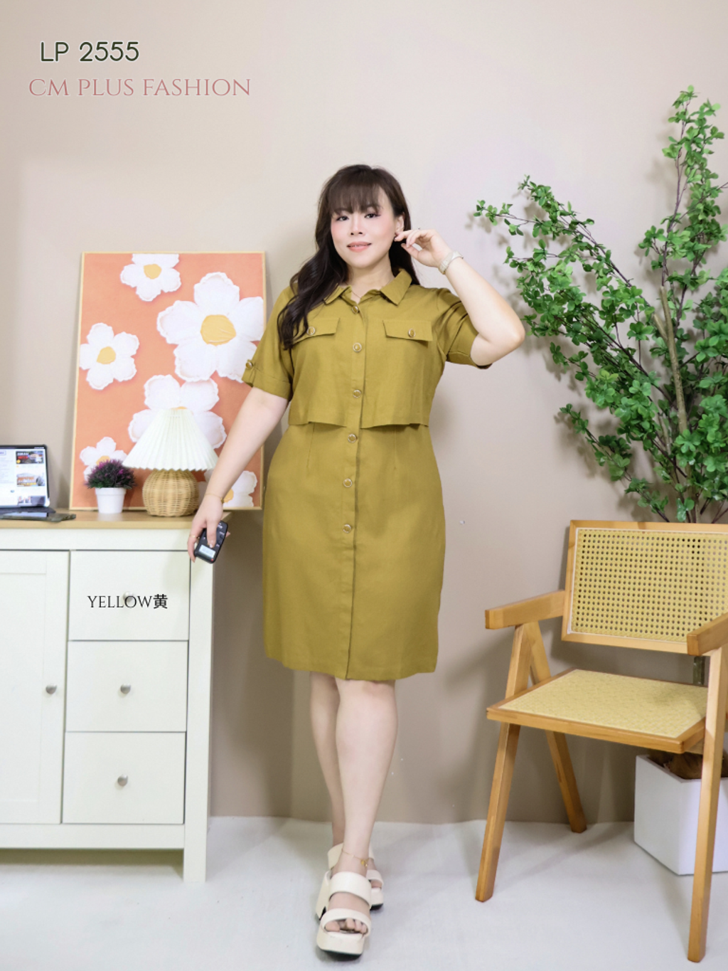 LP 2555 -l (4)